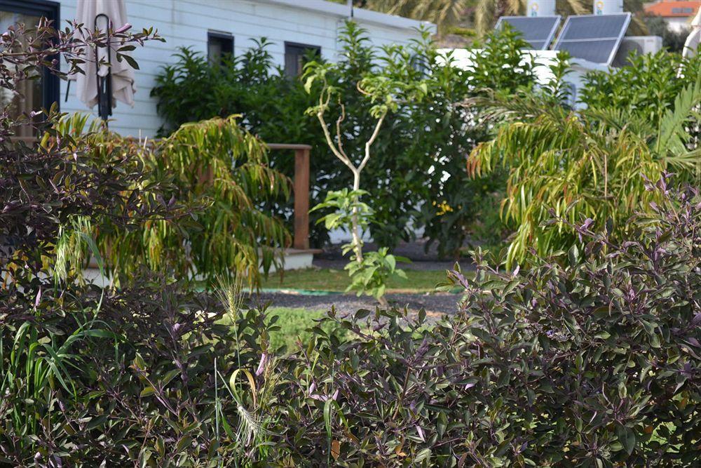 Kinneret Village Exterior photo
