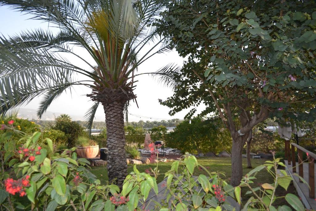 Kinneret Village Exterior photo